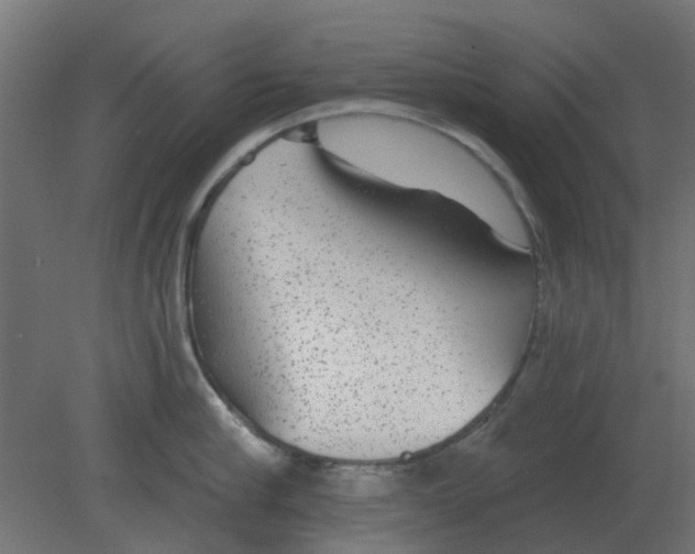 X0000080790910200701122144