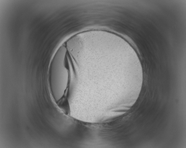 X0000080790911200701122144