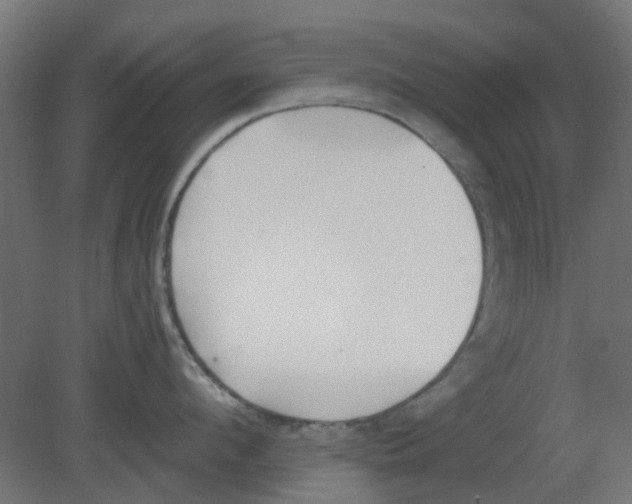 X0000080790912200701122144