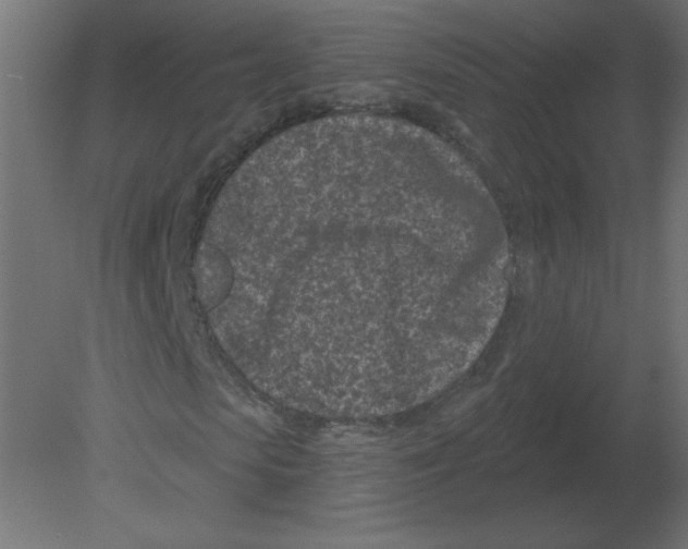 X0000080790913200701122143