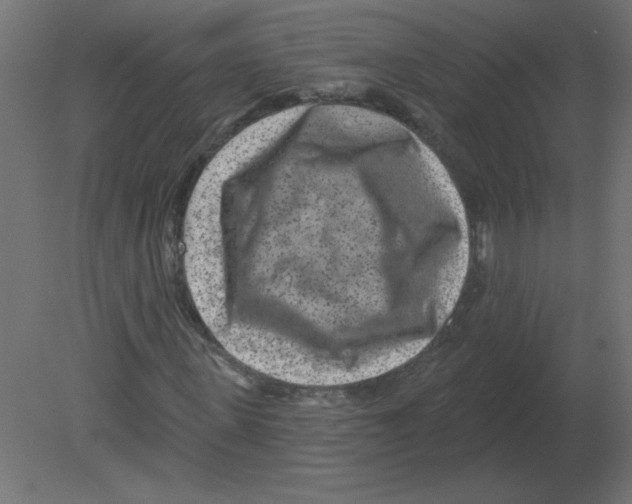 X0000080790915200701122143