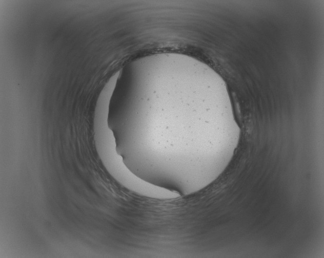 X0000080790916200701122144