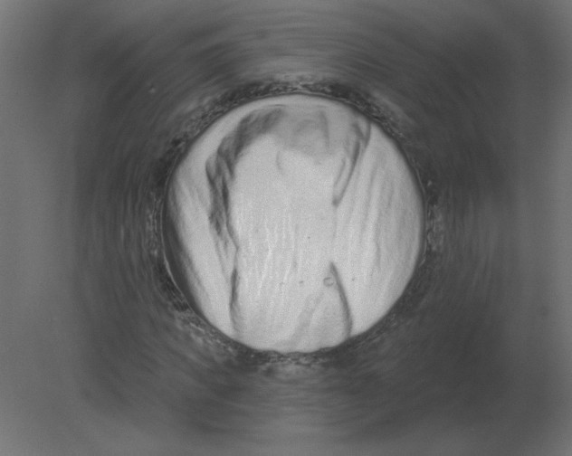 X0000080790917200701122144