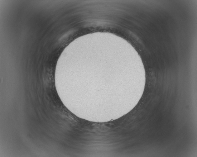 X0000080790918200701122144