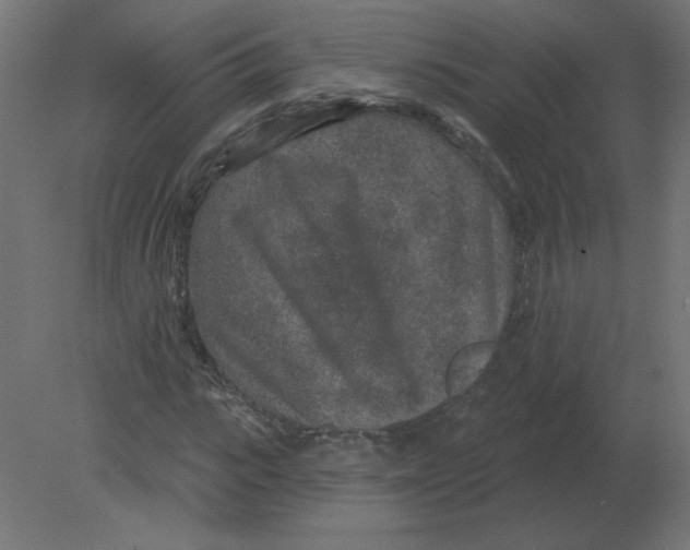 X0000080790919200701122144