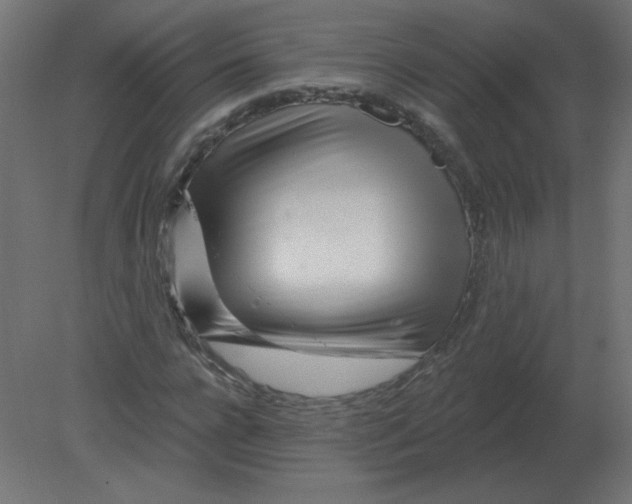 X0000080790920200701122144