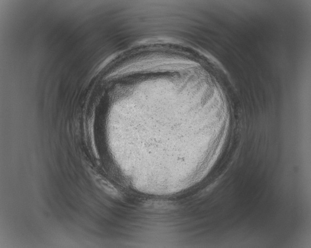 X0000080790921200701122144