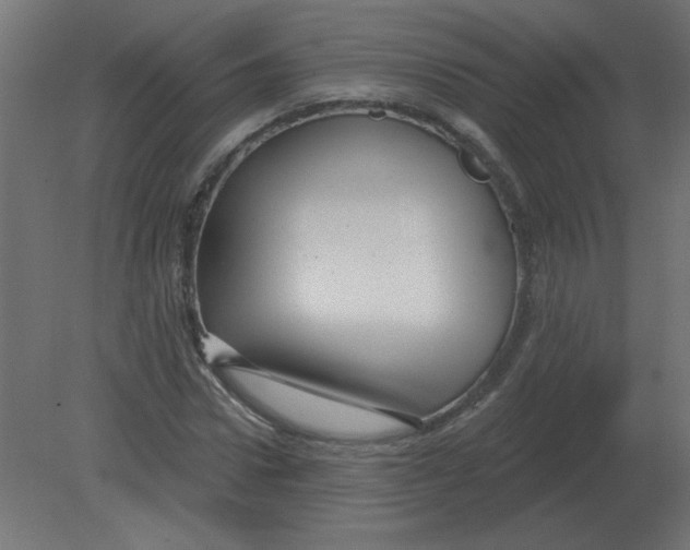 X0000080790922200701122144