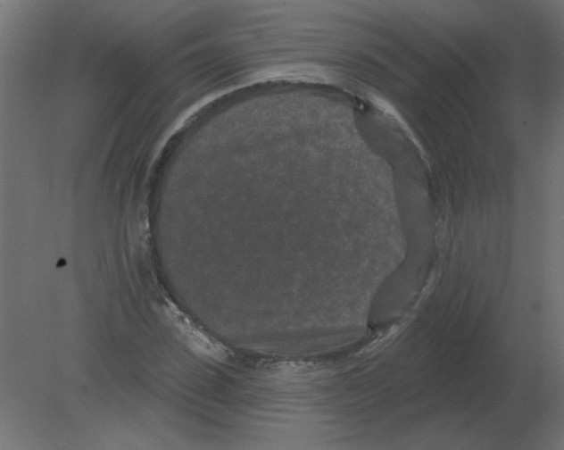 X0000080790923200701122144