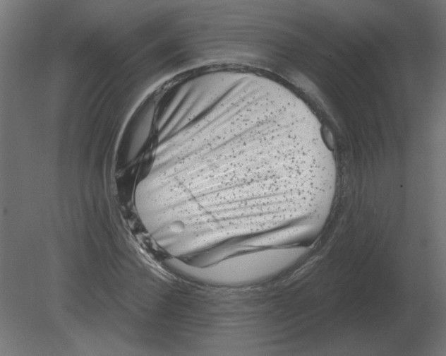 X0000080790924200701122144