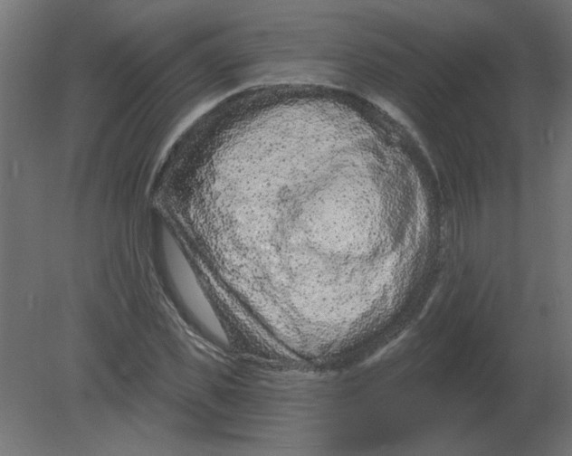 X0000080790925200701122144