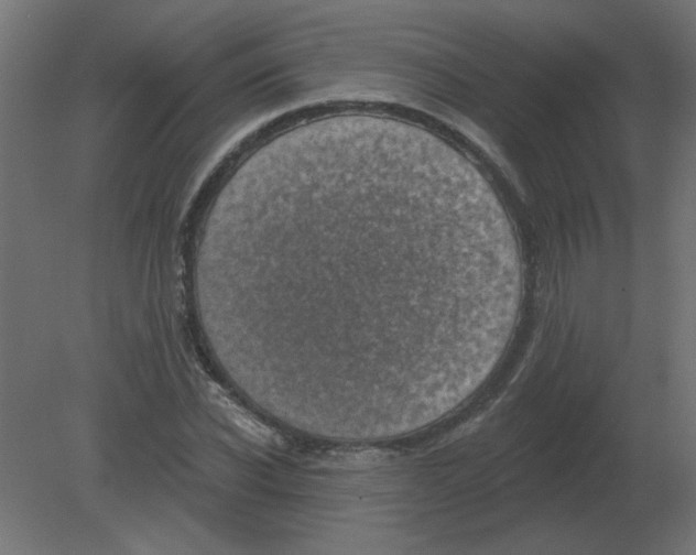 X0000080790926200701122144