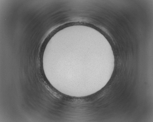 X0000080790927200701122144