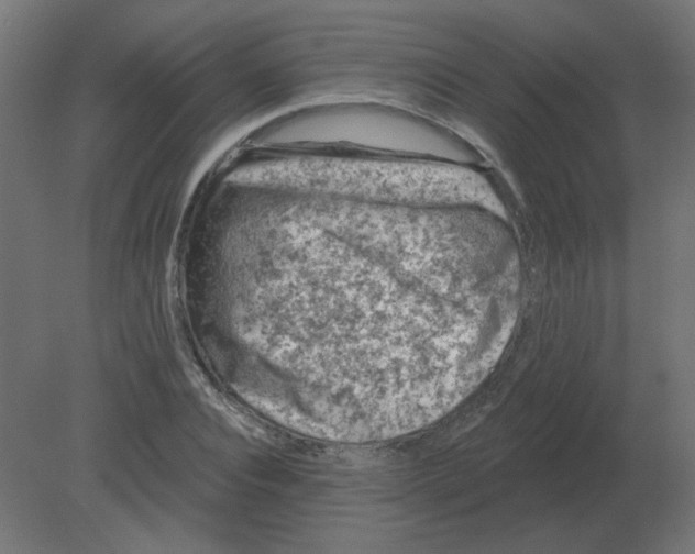 X0000080790928200701122144