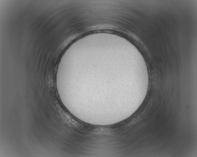 X0000080790929200701122144