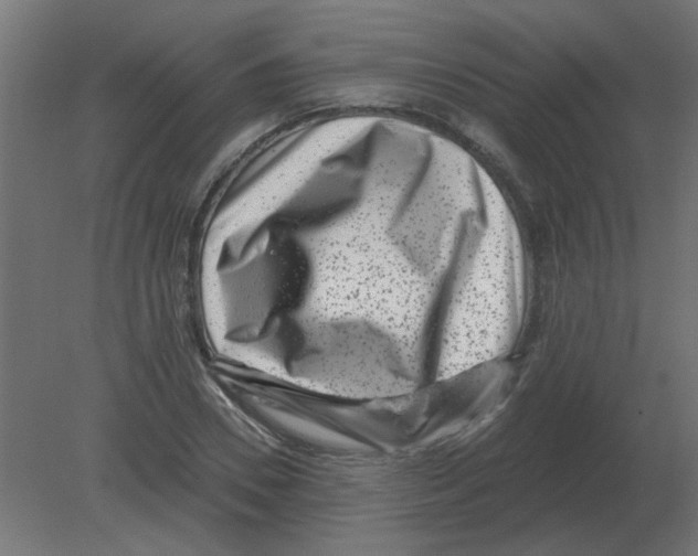 X0000080790930200701122144