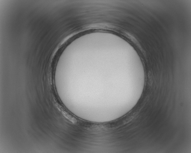 X0000080790931200701122144