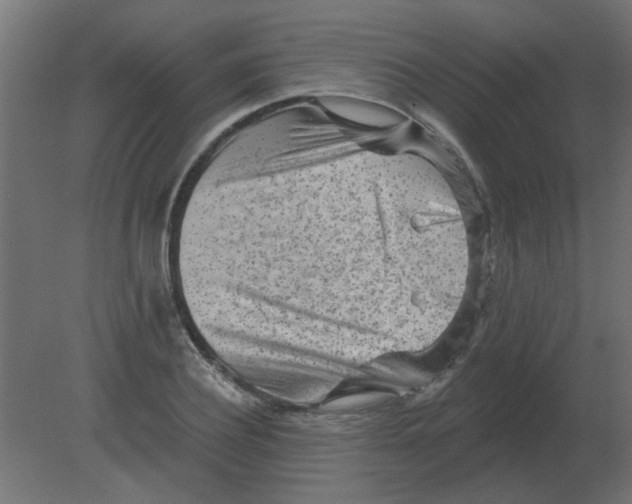 X0000080790932200701122144