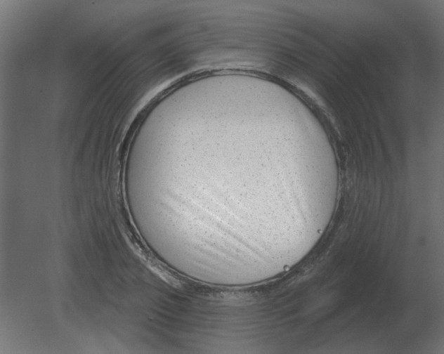 X0000080790933200701122144