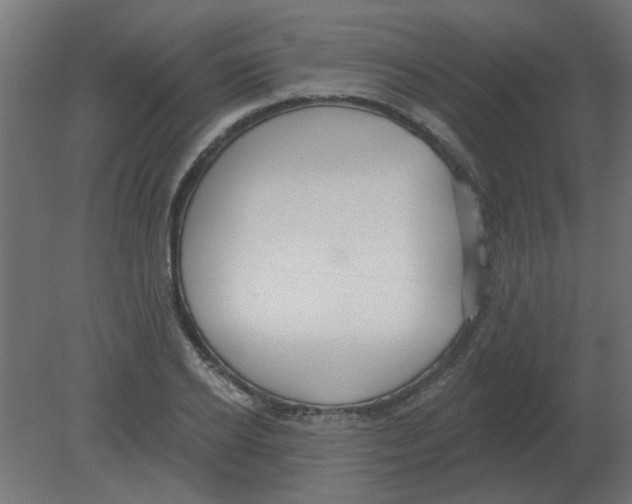 X0000080790934200701122144