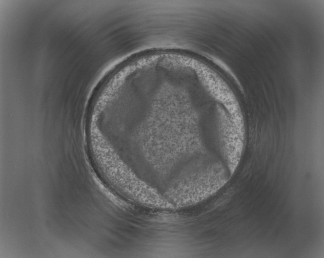 X0000080790935200701122144