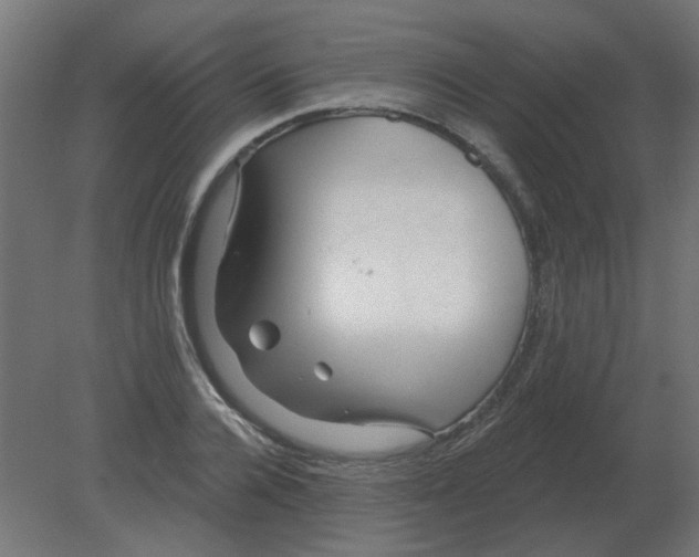 X0000080790936200701122144