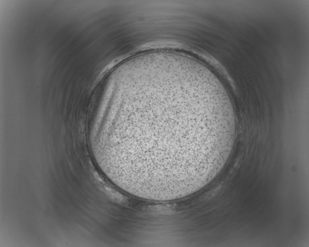 X0000080790937200701122144