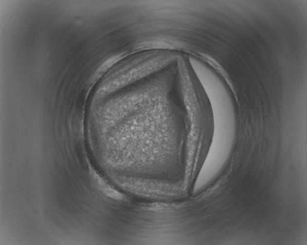 X0000080790938200701122144