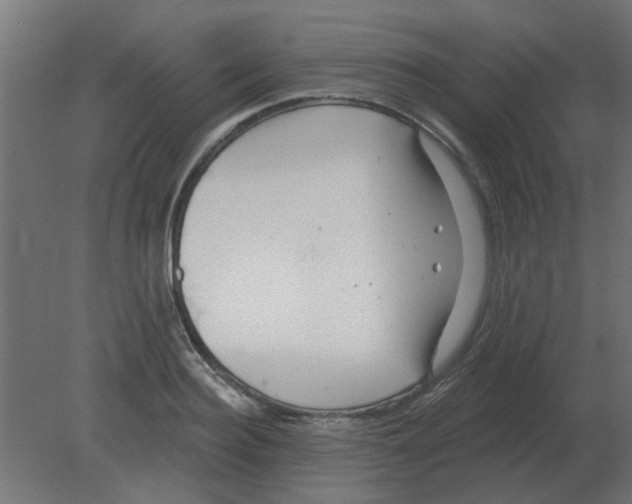 X0000080790940200701122144