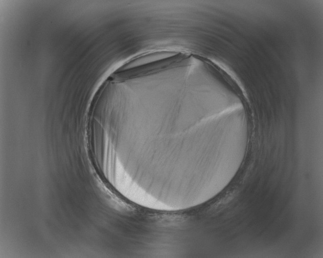 X0000080790941200701122144