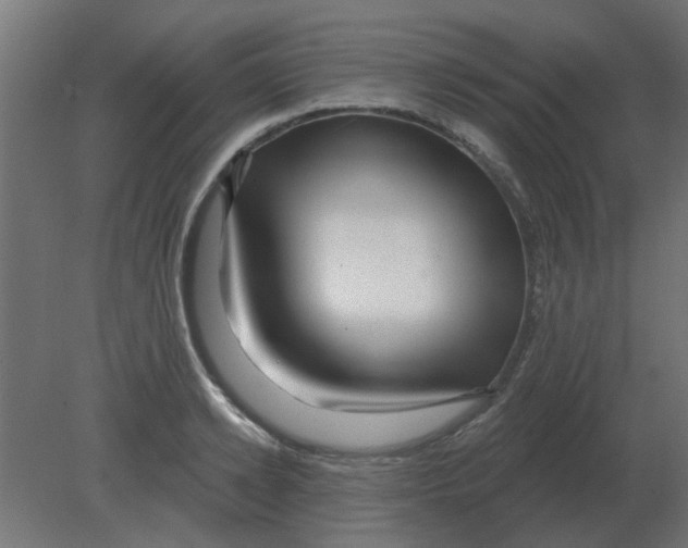 X0000080790942200701122144