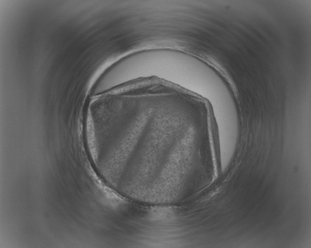 X0000080790944200701122144