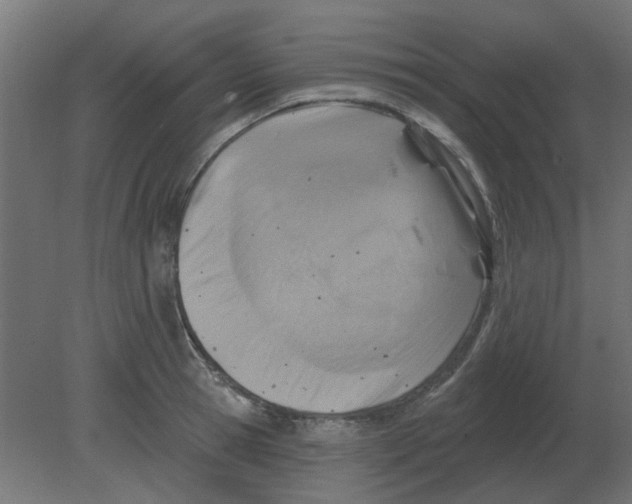 X0000080790945200701122144