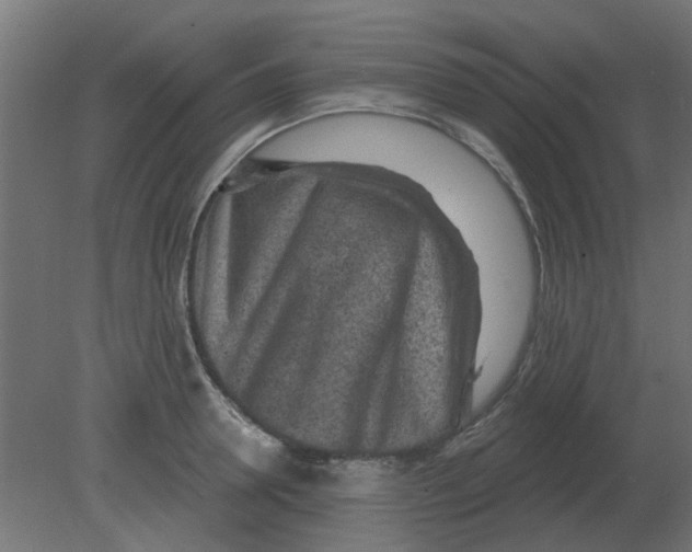 X0000080790946200701122144