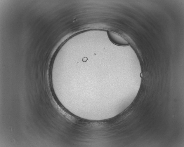 X0000080790947200701122144