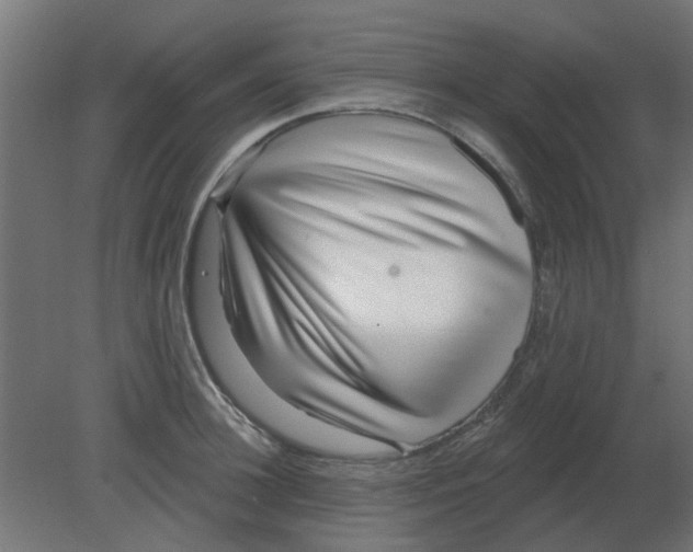 X0000080790948200701122144