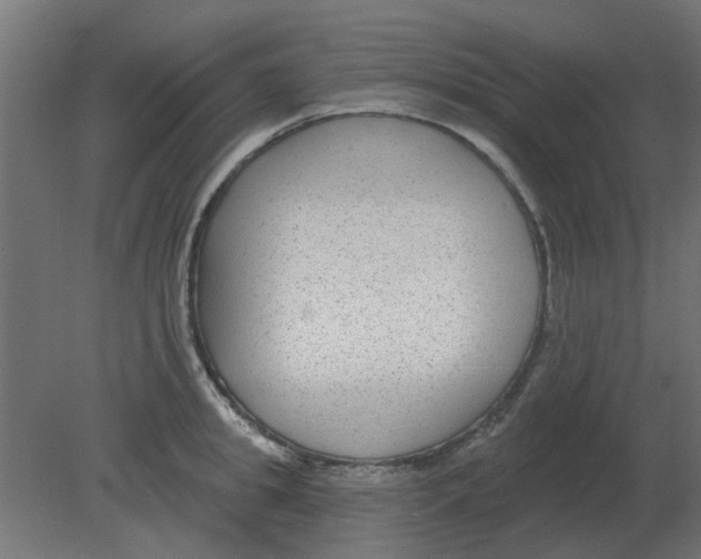 X0000080790949200701122144