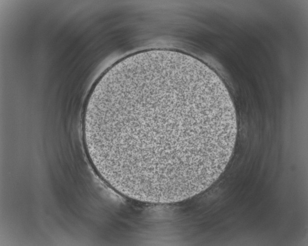 X0000080790950200701122144