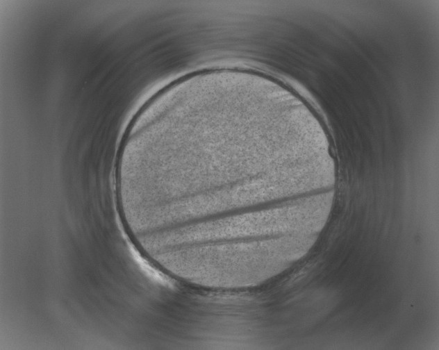 X0000080790951200701122144