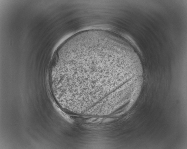 X0000080790952200701122144