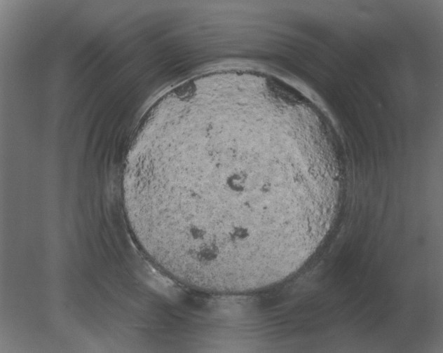 X0000080790953200701122144