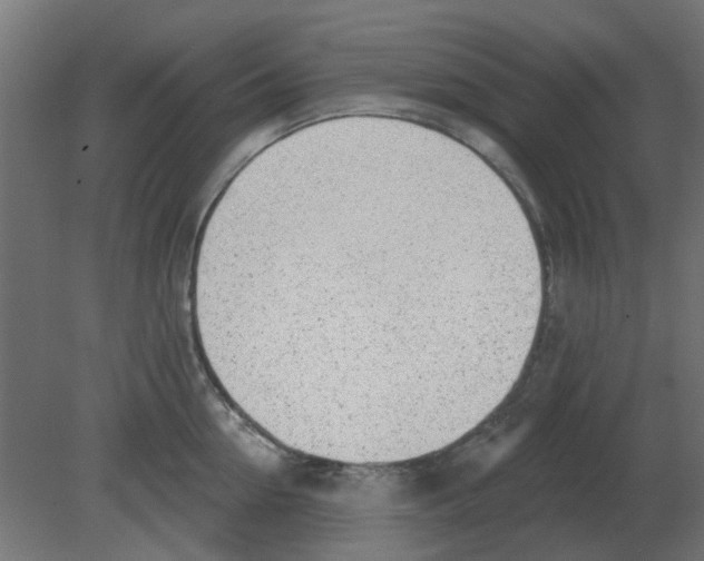 X0000080790954200701122144