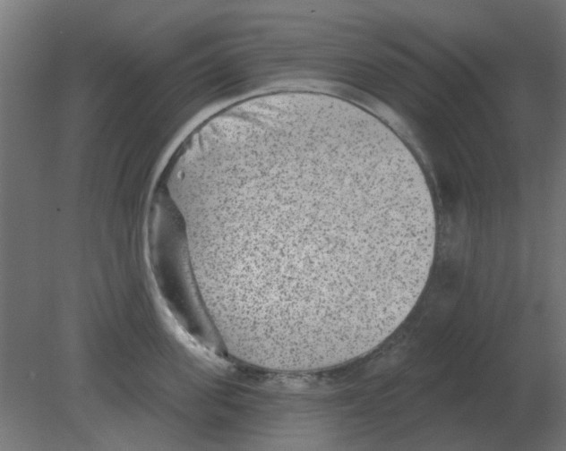 X0000080790955200701122144