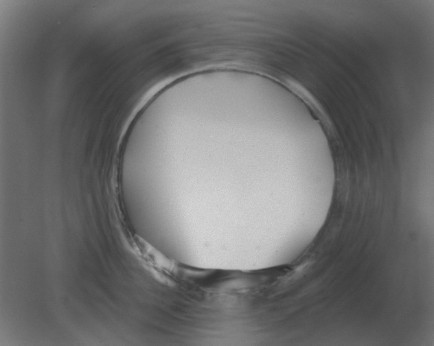 X0000080790956200701122144