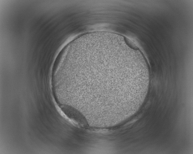 X0000080790957200701122144