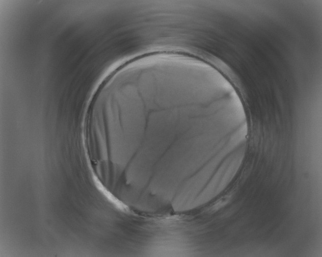 X0000080790958200701122144