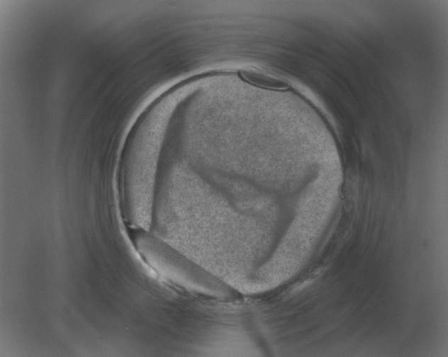 X0000080790959200701122144