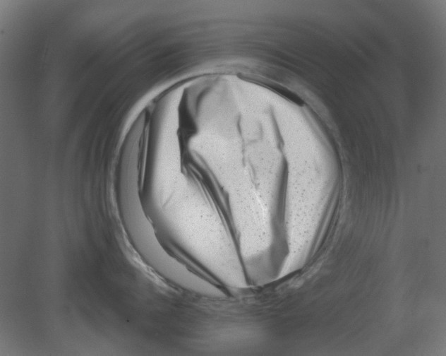 X0000080790960200701122144