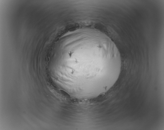 X0000080790961200701122143