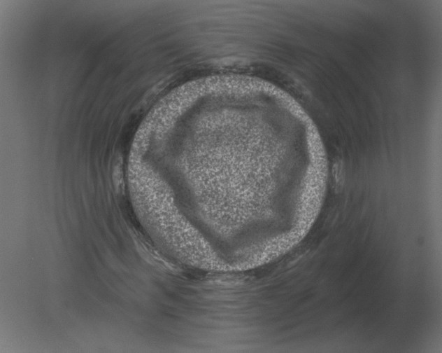 X0000080790963200701122143